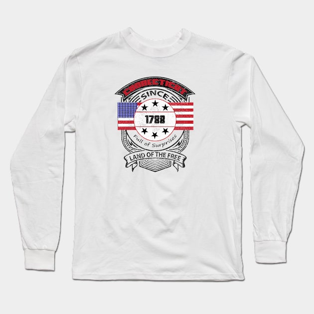 Connecticut Long Sleeve T-Shirt by artsytee